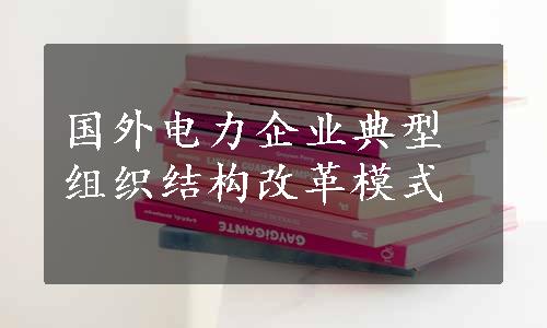 国外电力企业典型组织结构改革模式