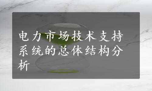 电力市场技术支持系统的总体结构分析