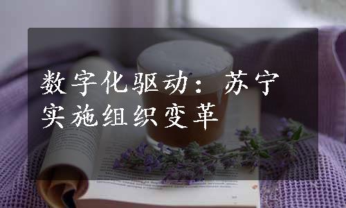 数字化驱动：苏宁实施组织变革