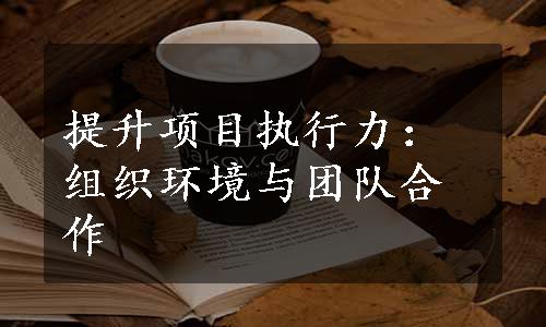 提升项目执行力：组织环境与团队合作