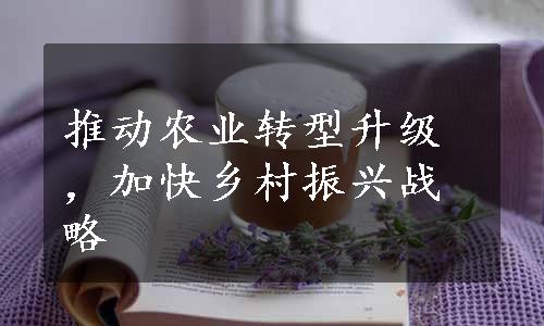 推动农业转型升级，加快乡村振兴战略