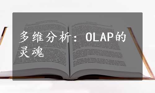 多维分析：OLAP的灵魂