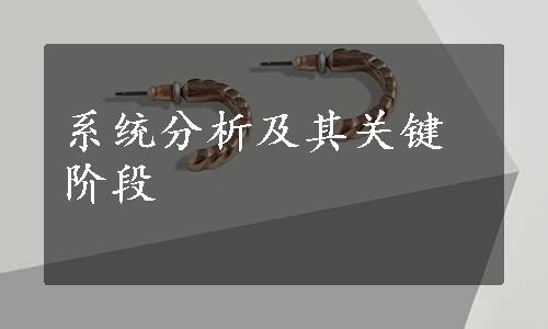 系统分析及其关键阶段