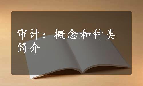 审计：概念和种类简介