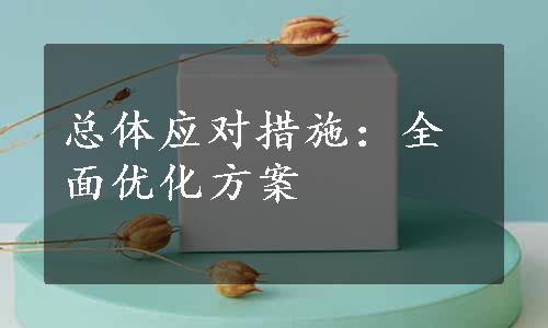 总体应对措施：全面优化方案