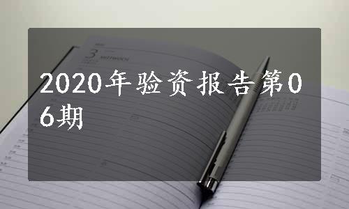 2020年验资报告第06期