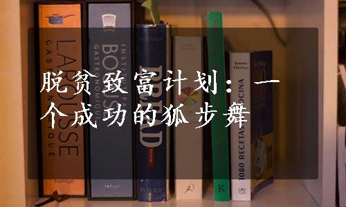 脱贫致富计划：一个成功的狐步舞