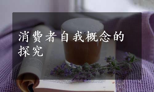 消费者自我概念的探究