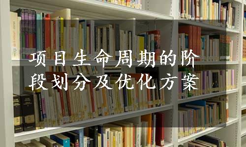 项目生命周期的阶段划分及优化方案