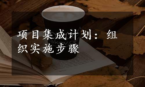 项目集成计划：组织实施步骤