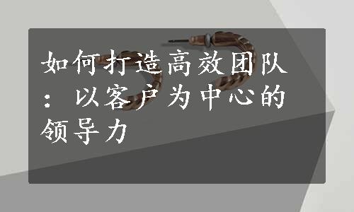 如何打造高效团队：以客户为中心的领导力