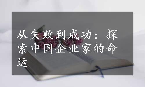 从失败到成功：探索中国企业家的命运