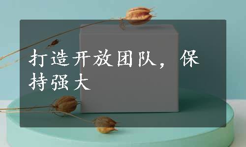 打造开放团队，保持强大