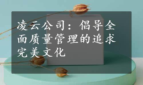 凌云公司：倡导全面质量管理的追求完美文化