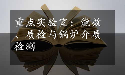 重点实验室：能效、质检与锅炉介质检测