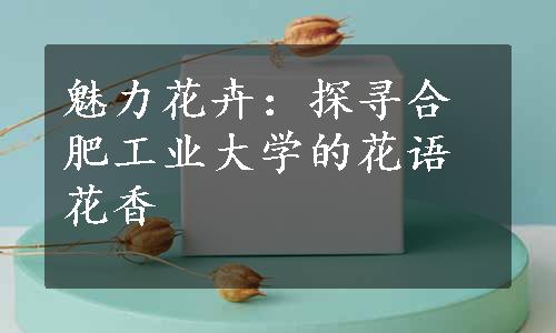 魅力花卉：探寻合肥工业大学的花语花香