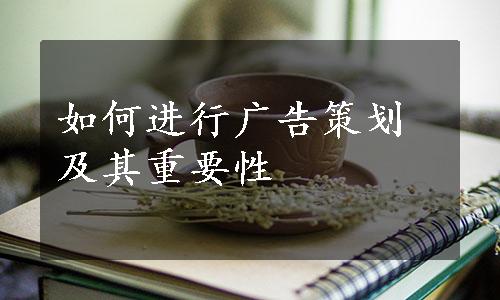 如何进行广告策划及其重要性