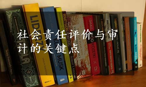 社会责任评价与审计的关键点