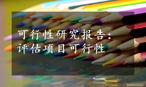 可行性研究报告：评估项目可行性