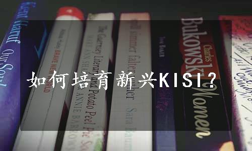 如何培育新兴KISI？