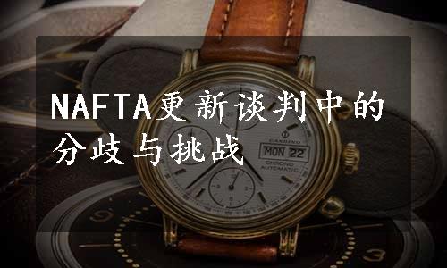 NAFTA更新谈判中的分歧与挑战