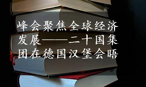 峰会聚焦全球经济发展——二十国集团在德国汉堡会晤