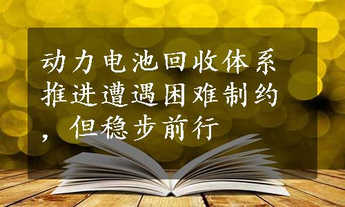 动力电池回收体系推进遭遇困难制约，但稳步前行