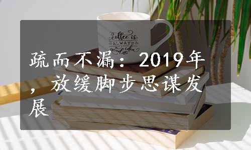 疏而不漏：2019年，放缓脚步思谋发展