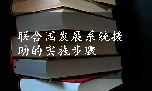 联合国发展系统援助的实施步骤