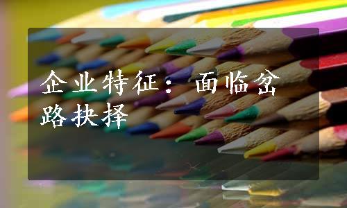 企业特征：面临岔路抉择