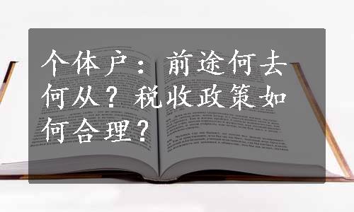 个体户：前途何去何从？税收政策如何合理？