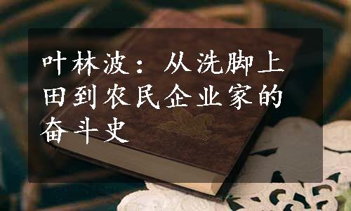 叶林波：从洗脚上田到农民企业家的奋斗史