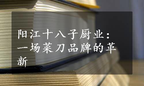 阳江十八子厨业：一场菜刀品牌的革新