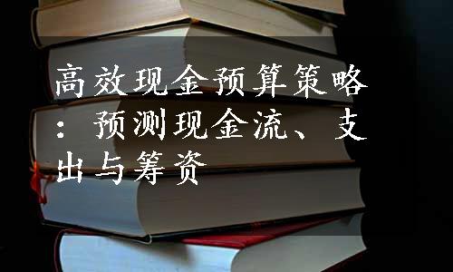 高效现金预算策略：预测现金流、支出与筹资