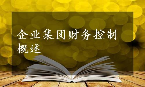 企业集团财务控制概述