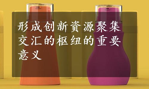 形成创新资源聚集交汇的枢纽的重要意义