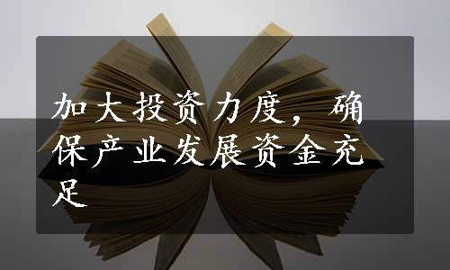 加大投资力度，确保产业发展资金充足