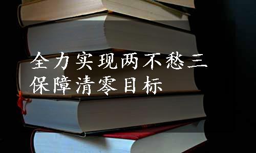 全力实现两不愁三保障清零目标