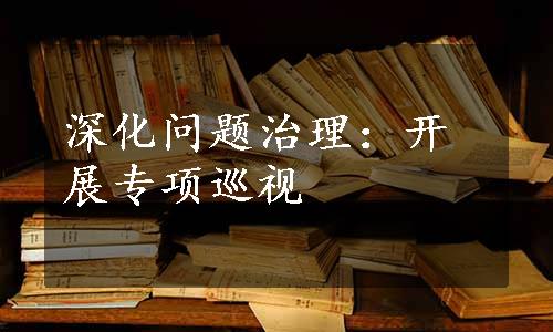 深化问题治理：开展专项巡视