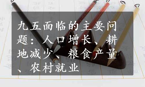 九五面临的主要问题：人口增长、耕地减少、粮食产量、农村就业