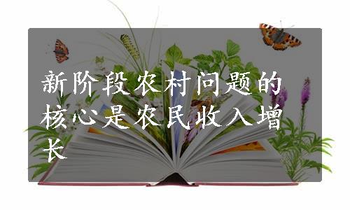 新阶段农村问题的核心是农民收入增长