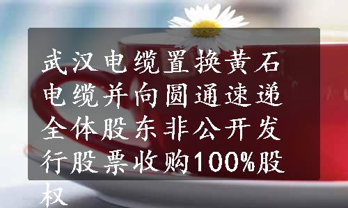 武汉电缆置换黄石电缆并向圆通速递全体股东非公开发行股票收购100%股权