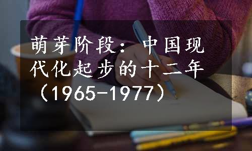 萌芽阶段：中国现代化起步的十二年（1965-1977）