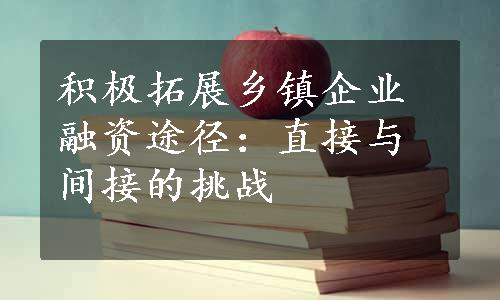 积极拓展乡镇企业融资途径：直接与间接的挑战