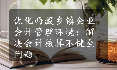 优化西藏乡镇企业会计管理环境：解决会计核算不健全问题