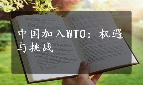 中国加入WTO：机遇与挑战