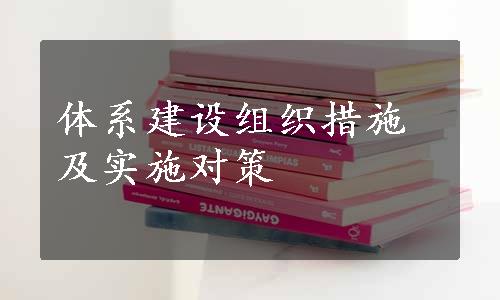 体系建设组织措施及实施对策