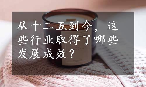 从十二五到今，这些行业取得了哪些发展成效？