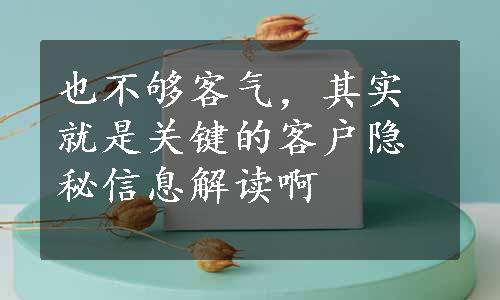 也不够客气，其实就是关键的客户隐秘信息解读啊