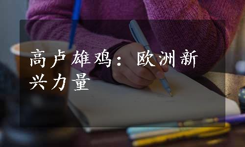 高卢雄鸡：欧洲新兴力量